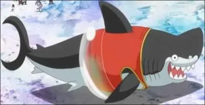 Quel est le nom de son animal de compagnie ?