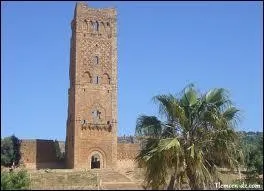 La capitale des Zianides, Tlemcen, est une ville qui a gard jalousement ses traditions; on l'appelle aussi :