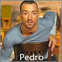 Qui interprte le rle de Pedro Salvador ?