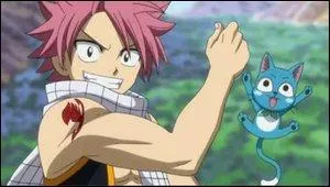  Fairy Tail  ou  Fairy Tale  ? Le film  Fairy tale : a true story  est sorti en France sous le nom de  Le mystre des fes - une histoire vraie . Mais qui a ralis ce film ?