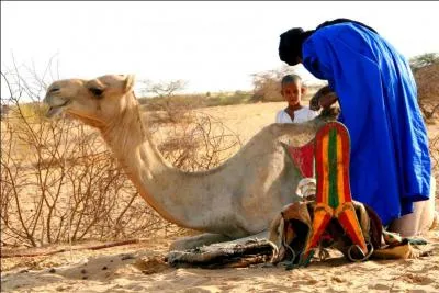 Revenons au 12 fvrier 1960, date importante s'il en est, pour la France, mais aussi pour le monde, elle fit beaucoup de bruit !