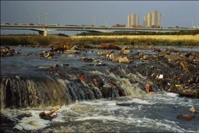 Pour terminer, je vais parler d'un vnement pratiquement pass inaperu, dcouvert grce au courage d'un pcheur professionnel, la prsence dans pratiquement tous les cours d'eau franais ...