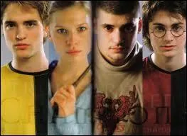 Quelle(s) est/sont la/les affirmation(s) vraie(s) ?