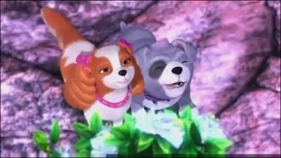 Comment s'appellent leurs animaux ?