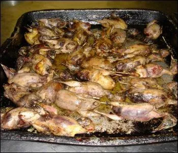 Dans les Ardennes, la tenderie aux grives est un mode de chasse qui se transmet de gnration en gnration. Pour ce plat succulent, il faut prendre les grives de type  roussette . Faut-il les vider avant de les faire cuire ?