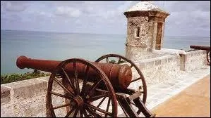 Quel le nom qui dsigne une lourde arme  feu, mais aussi un verre de vin et une superbe fille ?