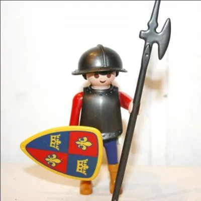 On dit qu'il en tombe lorsqu'il pleut trs fort. De quoi s'agit-il ?