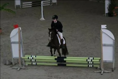 Combien de repas faut-il donner par jour  un cheval ?