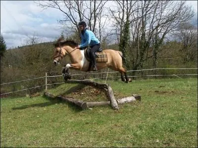 Comment s'appelle cet obstacle ?