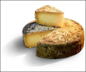 Quel est ce fromage ?