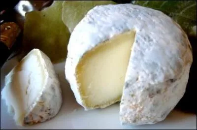 Quel est ce fromage ?