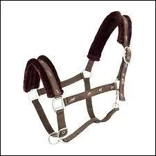 Ce beau licol porte la marque :