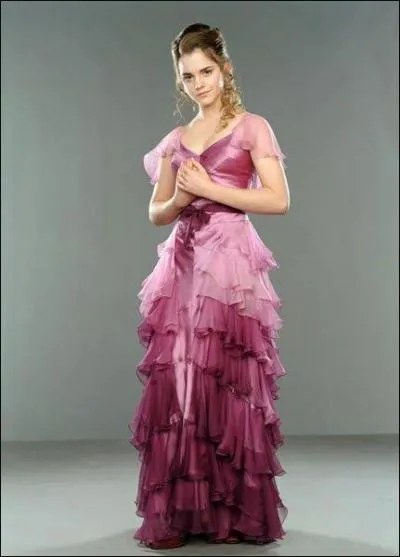 Qui accompagne Hermione au bal de Nol ?