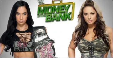 AJ Lee vs Kaitlyn : qui est la gagnante pour le championnat des Divas ?