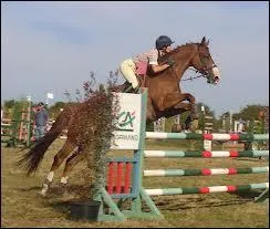 Cet obstacle est un ?