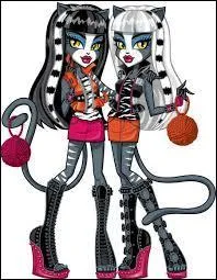Comment s'appellent les deux surs jumelles de Monster High ?