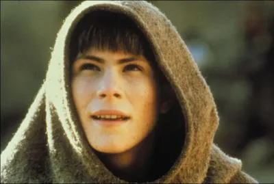 Ce film est un thriller dont l'action se situe au Moyen-Âge, dans un monastère :