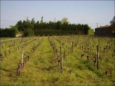 Combien de communes des Deux-Svres bnficient de l'appellation Anjou ?