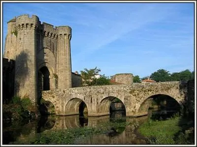 Quelle rivire coule  Parthenay ?