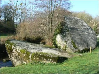 Comment s'appellent les blocs granitiques que l'on rencontre en Gtine ?