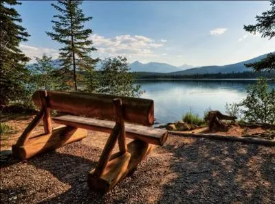 Agrandissez la photo, asseyez-vous sur le banc, et en fonction de cet environnement, dites quel animal vous pouvez observer !