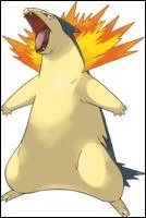 Typhlosion est de type...