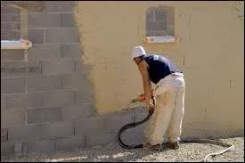 Le ... est un revtement qui protge et dcore une maison.