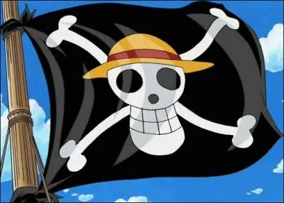 Qui est entre dans l'quipage de Luffy dans l'ordre ?