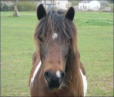 Quelle est cette robe ?