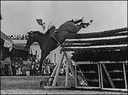 Quel cheval dtient le record de saut en hauteur ?