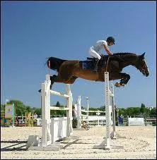 Quel est le nom de cet obstacle de CSO ?