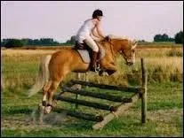 Quel est le nom de cet obstacle de CSO ?