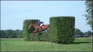 Quel est le nom de cet obstacle de Cross ?