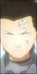 Comment se nomme ce jeune ninja, lve du Shodaime et Nidaime Hokage, et qui sera par la suite le Sandaime Hokage ?