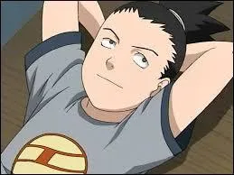 Comment se nomme ce gnie mais qui est un vritable flemmard. Il manipule les ombres avec habilet ?