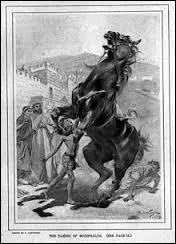 Quel cheval avait peur de son ombre ?