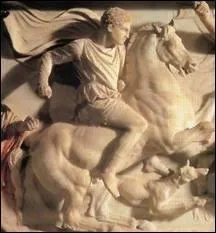 Cheval tant aim de Caligula, je suis :