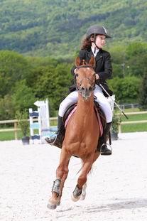 Quiz Chevaux