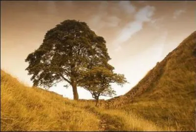 Dans quel pays peut-on trouver le mur d'Hadrien ?