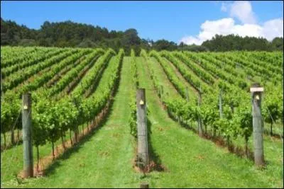 Lequel a la plus grande superficie parmi ces pays ?