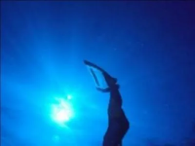 Quelle activit exerce principalement Will ?