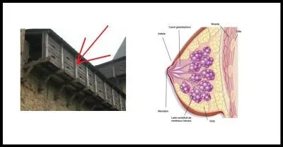 Qui s'y frotte s'y pique.