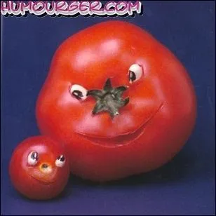 On ne joue pas avec la nourriture ! C'est le nom potique de la tomate :