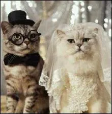 Vive les maris ! En Europe, au Moyen-ge, on mettait traditionnellement l'alliance de la femme  la main :