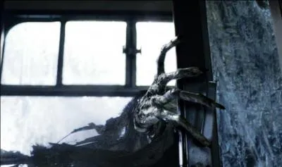 Pourquoi les Dtraqueurs s'attaquent-ils  Harry en particulier ?