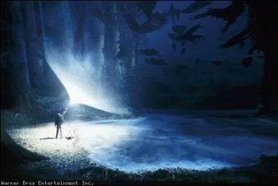 Quelle est la forme du Patronus de Harry ?