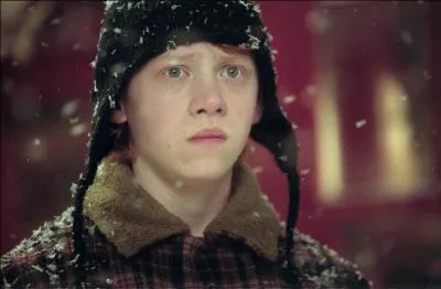 Par qui Ron s'est-il fait mordre au doigt ?