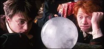 Que dcouvre le professeur Trelawney en regardant dans la tasse de Harry ?