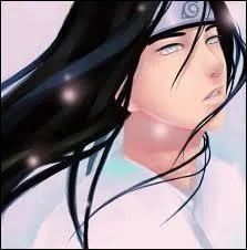 Je fais partie de la branche secondaire de mon clan. J'ai le Byakugan comme Kekkei Genkai. Je suis un ninja de rang Jnin. Je m'appelle :