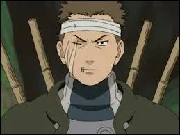 J'tais un genin du village cach de la Pluie. Je fus tu par Gaara dans la fort de la mort, durant l'examen chnin. Je m'appelle :